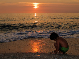 Similar image 517411