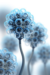 Similar image 517413