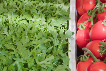 Similar image 517466