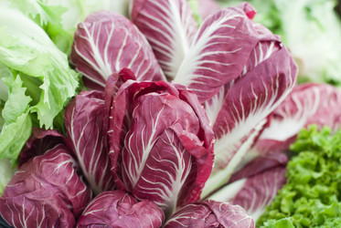 Similar image 517488