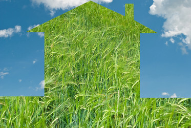 Similar image 517513