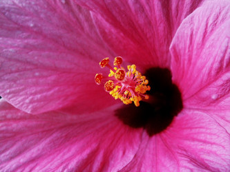 Similar image 517664