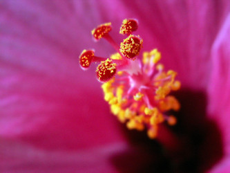 Similar image 517696