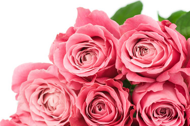 Similar image 517706