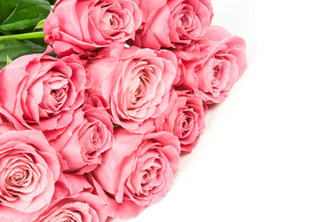 Similar image 517707