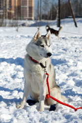 Similar image 517741