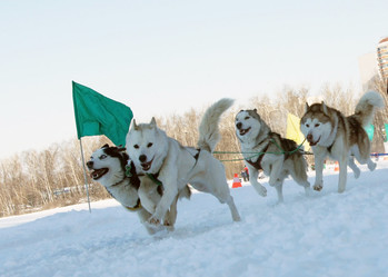 Similar image 517744