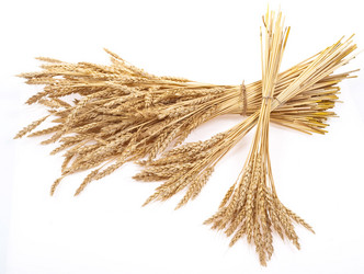 Similar image 517747