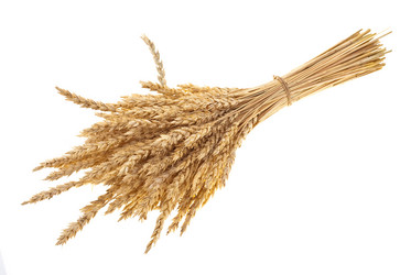 Similar image 517757