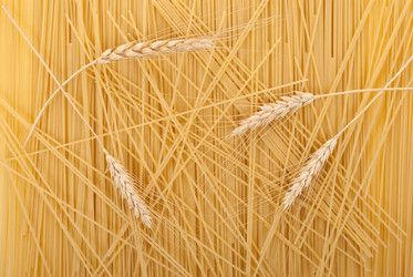 Similar image 517773