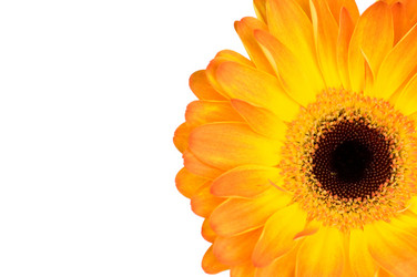 Similar image 517846