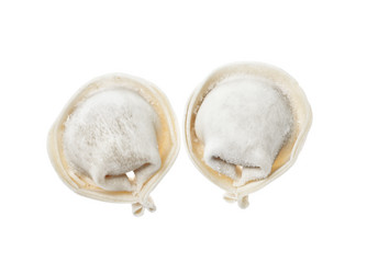 Similar image 517941