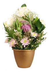 Similar image 517947