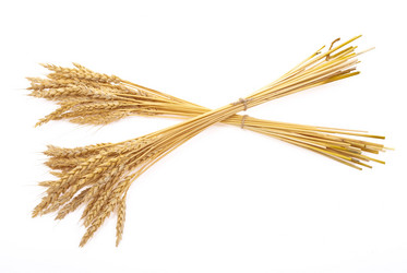 Similar image 518081