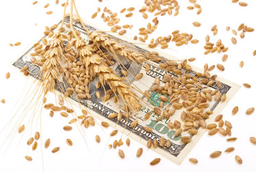 Similar image 518090