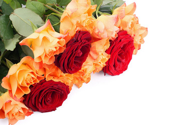 Similar image 518137