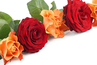 Similar image 518139