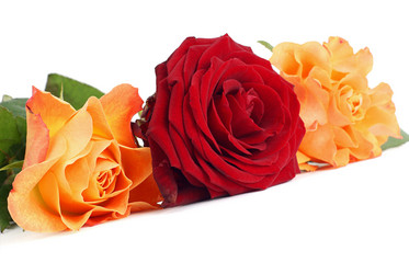 Similar image 518144