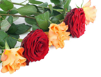 Similar image 518151