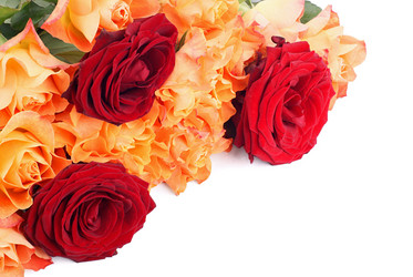 Similar image 518154