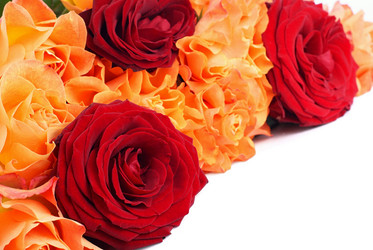 Similar image 518156