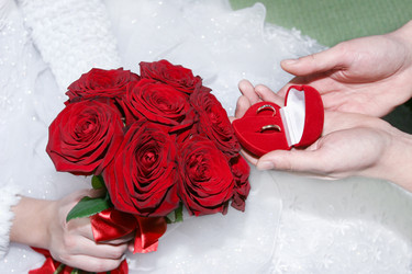 Similar image 518167