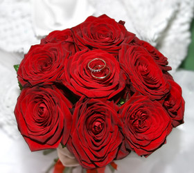 Similar image 518169