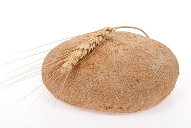 Similar image 518209