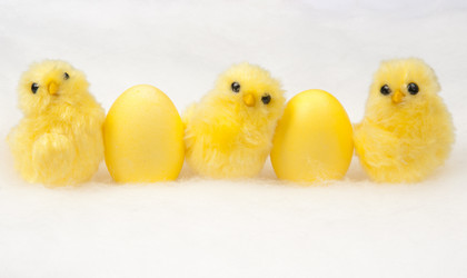 Similar image 518216