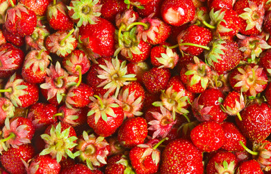 Similar image 518229