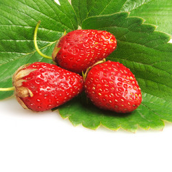 Similar image 518235