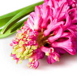 Similar image 518281