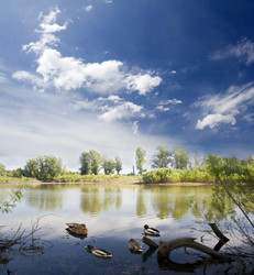 Similar image 518394