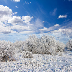 Similar image 518409