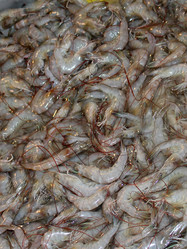 Similar image 518439