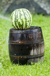 Similar image 518445