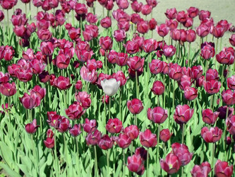 Similar image 518446