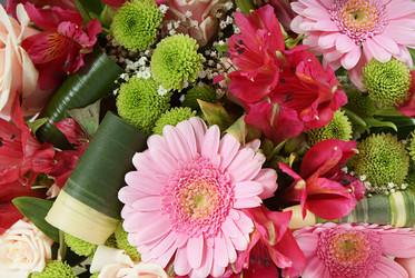 Similar image 518523