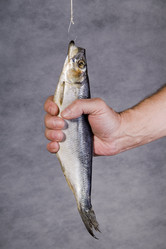 Similar image 518532