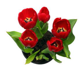 Similar image 518578