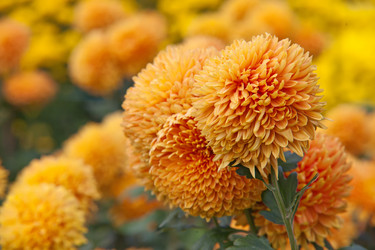 Similar image 518585