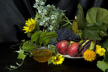 Similar image 518602