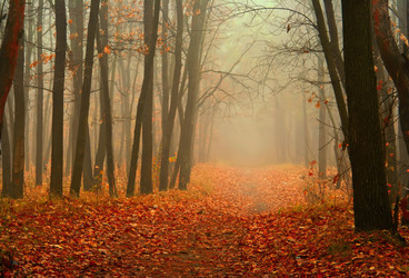 Similar image 518624