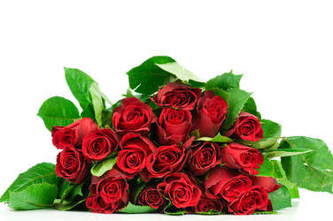 Similar image 518636