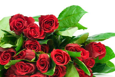 Similar image 518638