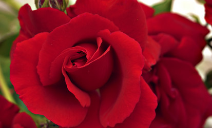 Similar image 518650