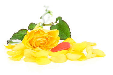 Similar image 518657