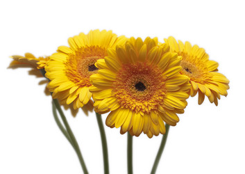 Similar image 518664