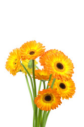 Similar image 518669