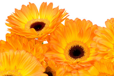 Similar image 518671